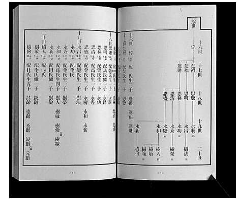 [下载][黄县琅琊王氏族谱]山东.黄县琅琊王氏家谱_十.pdf