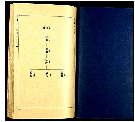 [下载][徐氏宗谱]山东.徐氏家谱_十七.pdf