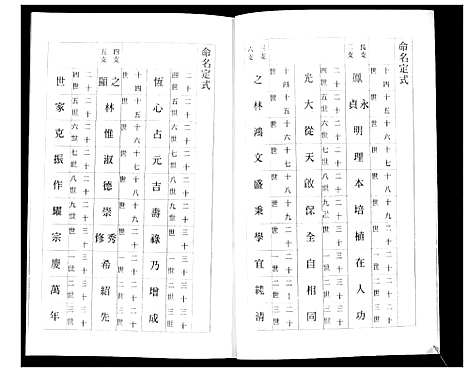 [下载][杨氏族谱_3部]山东.杨氏家谱_二.pdf