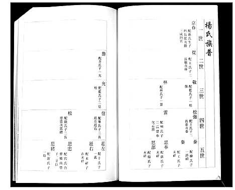 [下载][杨氏族谱_3部]山东.杨氏家谱_二.pdf