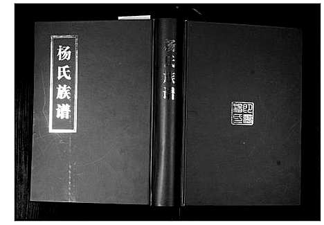 [下载][杨氏族谱_不分卷]山东.杨氏家谱.pdf