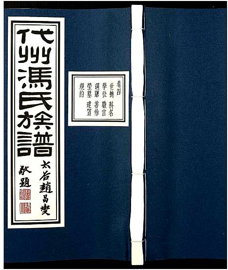 [下载][代州冯氏族谱_4卷_冯氏族谱]山西.代州冯氏家谱_十一.pdf