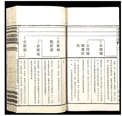 [下载][王氏宗谱]山西.王氏家谱_九.pdf