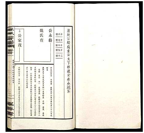 [下载][王氏宗谱]山西.王氏家谱_十一.pdf