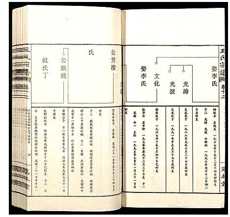 [下载][王氏宗谱]山西.王氏家谱_十二.pdf