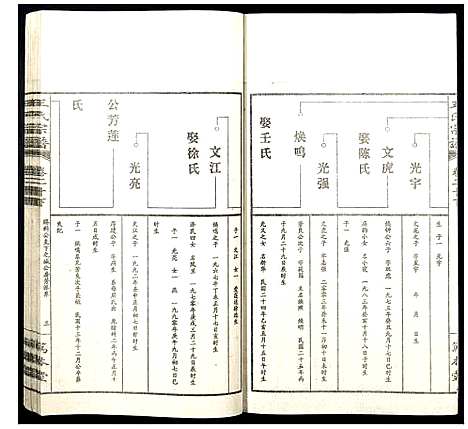 [下载][王氏宗谱]山西.王氏家谱_二十四.pdf