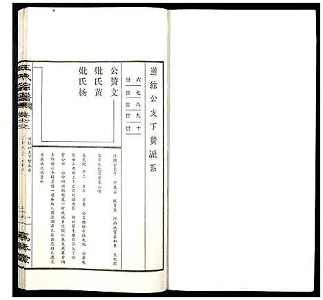 [下载][王氏宗谱]山西.王氏家谱_二十九.pdf