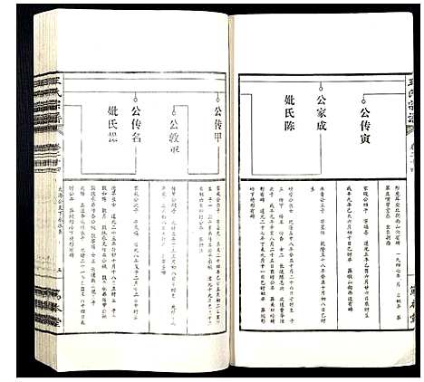 [下载][王氏宗谱]山西.王氏家谱_三十.pdf