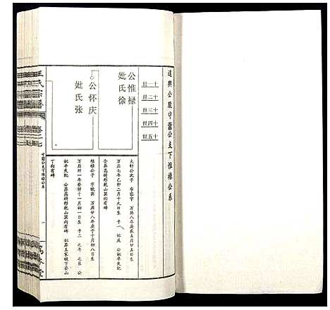 [下载][王氏宗谱]山西.王氏家谱_三十三.pdf