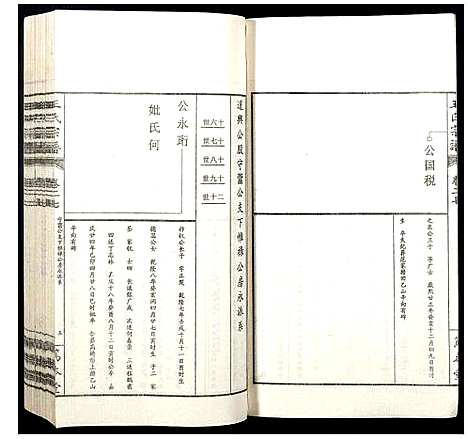 [下载][王氏宗谱]山西.王氏家谱_三十三.pdf