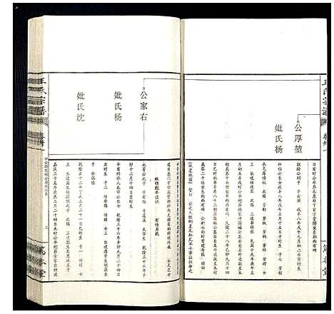 [下载][王氏宗谱]山西.王氏家谱_三十八.pdf