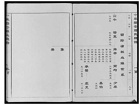 [下载][中华乐安孙氏总谱]天津.中华乐安孙氏总谱.pdf