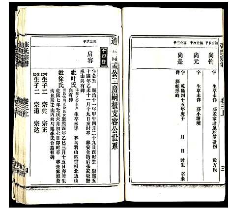 [下载][张氏宗谱]云南.张氏家谱_二.pdf