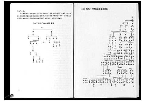 [下载][喜洲杨氏家谱_不分卷]云南.喜洲杨氏家谱_一.pdf