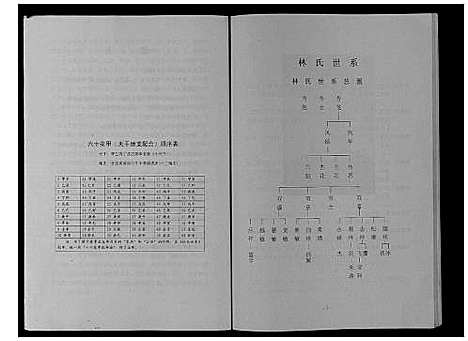 [下载][九牧林氏家乘_不分卷]浙江.九牧林氏家乘.pdf