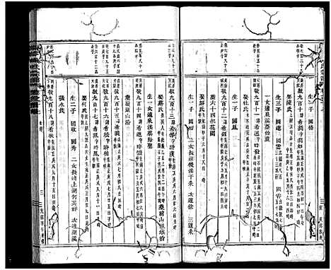 [下载][南岑吴氏宗谱_40卷_及卷末]浙江.南岑吴氏家谱_十六.pdf