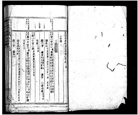 [下载][南岑吴氏宗谱_40卷_及卷末]浙江.南岑吴氏家谱_二十.pdf