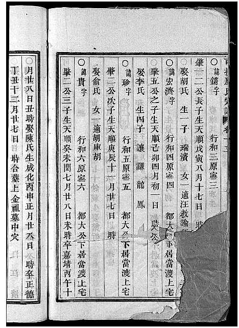 [下载][可投应氏宗谱_卷数杂异]浙江.可投应氏家谱_十三.pdf