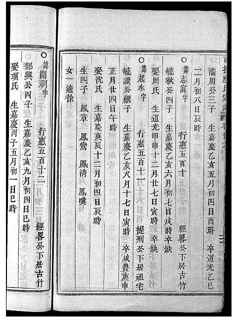 [下载][可投应氏宗谱_卷数杂异]浙江.可投应氏家谱_二十五.pdf