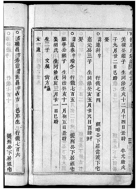 [下载][可投应氏宗谱_卷数杂异]浙江.可投应氏家谱_二十九.pdf