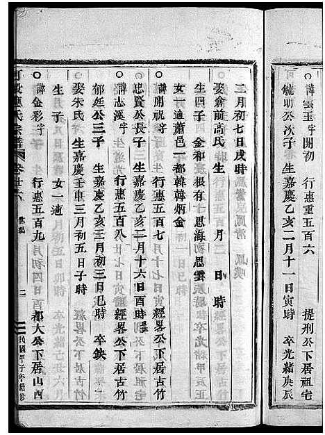 [下载][可投应氏宗谱_残卷]浙江.可投应氏家谱_九.pdf