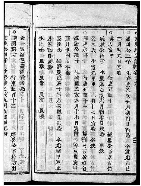 [下载][可投应氏宗谱_残卷]浙江.可投应氏家谱_九.pdf