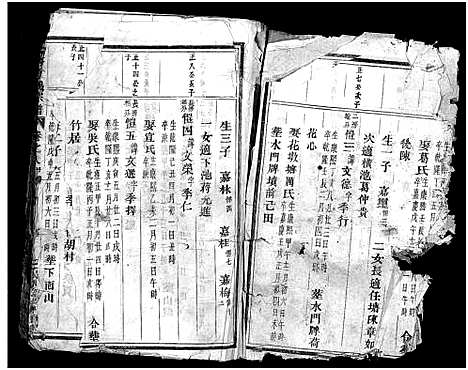 [下载][寿塔方氏宗谱_14卷]浙江.寿塔方氏家谱_九.pdf