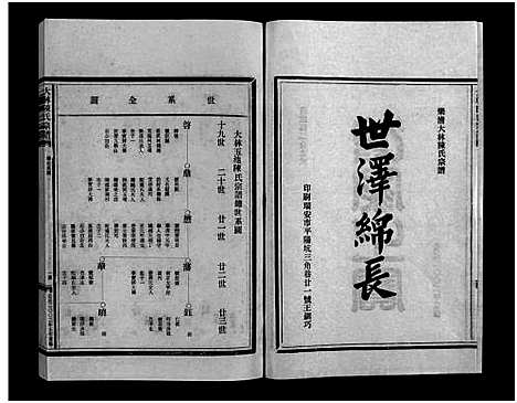 [下载][大林陈氏宗谱_9卷_含首1卷]浙江.大林陈氏家谱_二.pdf