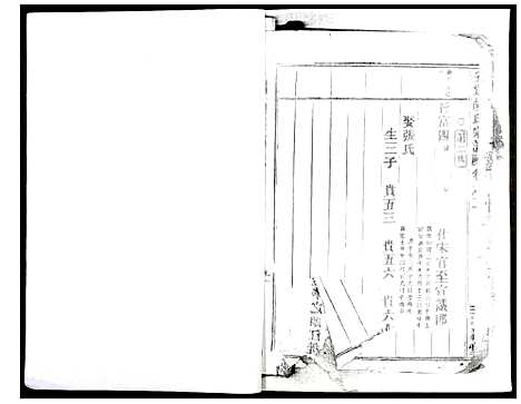 [下载][安定胡氏宗谱]浙江.安定胡氏家谱_二.pdf