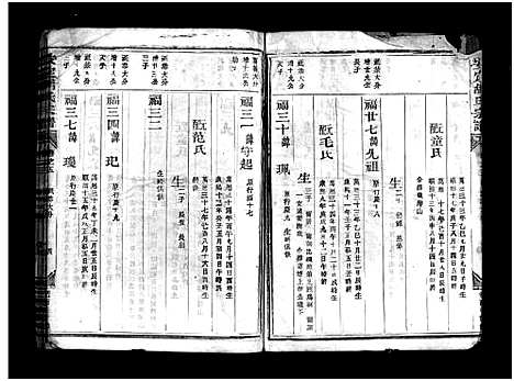 [下载][安定胡氏宗谱_8卷]浙江.安定胡氏家谱_三.pdf