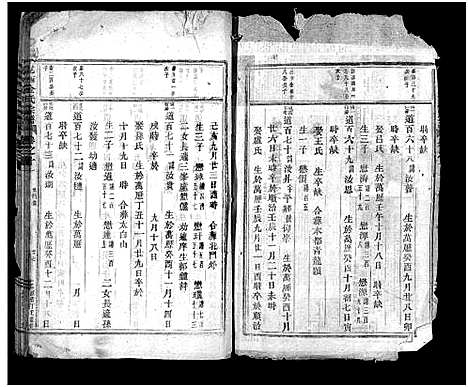 [下载][岘西金氏宗谱_残卷]浙江.岘西金氏家谱_二.pdf