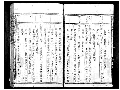 [下载][岘西金氏家谱_46卷]浙江.岘西金氏家谱_十三.pdf