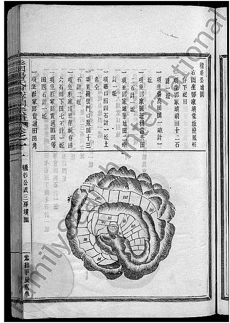 [下载][彩烟杨氏思存祠宗谱_12卷]浙江.彩烟杨氏思存祠家谱_十一.pdf