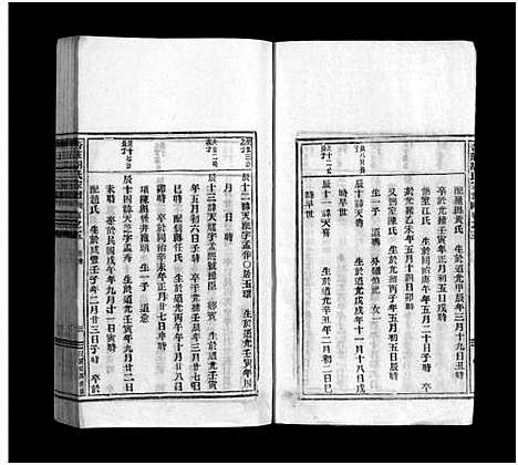 [下载][杏庄胡氏宗谱_5卷_及卷首]浙江.杏庄胡氏家谱_八.pdf