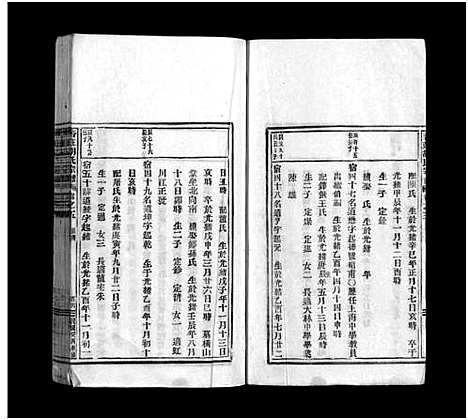 [下载][杏庄胡氏宗谱_5卷_及卷首]浙江.杏庄胡氏家谱_九.pdf