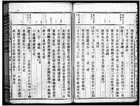 [下载][东南湖胡氏宗谱_15卷]浙江.东南湖胡氏家谱_十二.pdf