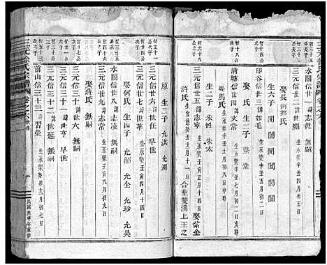 [下载][东阳三元徐氏宗谱_卷数杂异]浙江.东阳三元徐氏家谱_二十.pdf