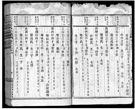 [下载][东阳三元徐氏宗谱_卷数杂异]浙江.东阳三元徐氏家谱_二十.pdf