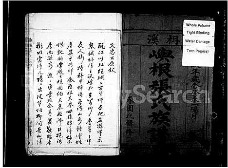 [下载][柟溪屿根张氏族谱]浙江.柟溪屿根张氏家谱.pdf