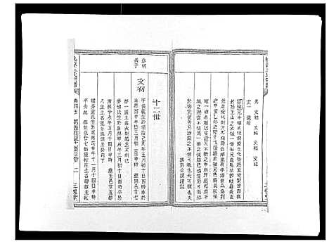 [下载][桃源王氏宗谱_60卷首末各1卷]浙江.桃源王氏家谱_五.pdf