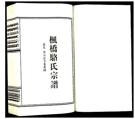 [下载][枫桥骆氏宗谱]浙江.枫桥骆氏家谱_九.pdf