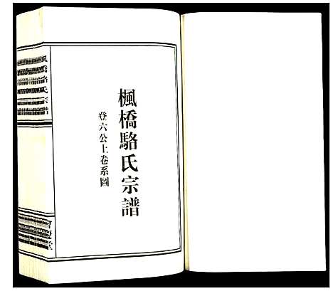 [下载][枫桥骆氏宗谱]浙江.枫桥骆氏家谱_十.pdf