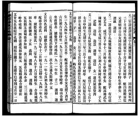 [下载][横坛林氏宗谱_3卷_另3卷]浙江.横坛林氏家谱_四.pdf