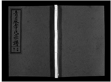 [下载][浦阳青岩李氏宗谱_5卷]浙江.浦阳青岩李氏家谱_三.pdf