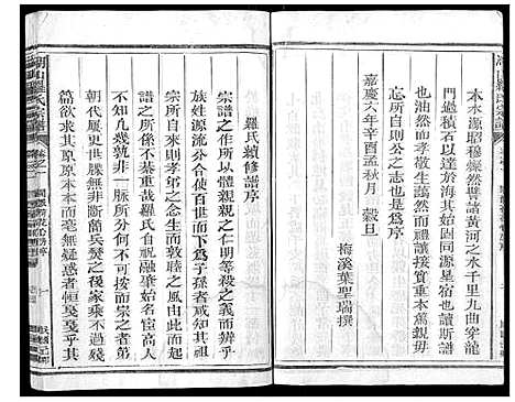 [下载][湖山罗氏族谱_各房分卷]浙江.湖山罗氏家谱_十六.pdf