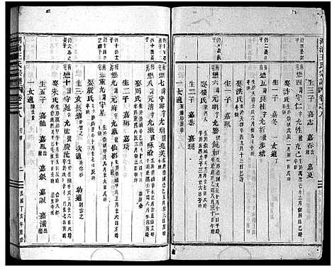 [下载][湖沧王氏宗谱_22卷]浙江.湖沧王氏家谱_八.pdf