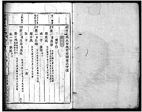 [下载][湖沧王氏宗谱_22卷]浙江.湖沧王氏家谱_十五.pdf