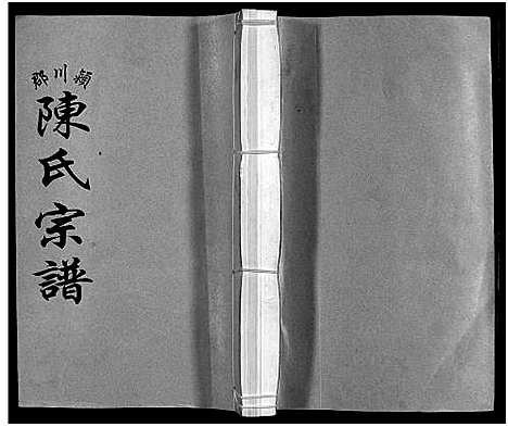 [下载][颍川郡陈氏宗谱_不分卷]浙江.颍川郡陈氏家谱.pdf