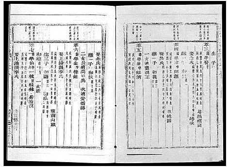 [下载][真定贾氏宗谱_23卷首1卷]浙江.真定贾氏家谱_十三.pdf