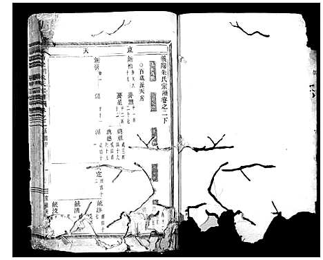 [下载][义阳金竹塘朱氏宗谱]浙江.义阳金竹塘朱氏家谱_三.pdf